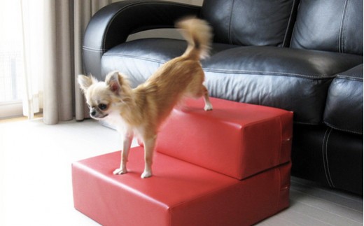 PVCレザードッグステップ「CHITO」Mサイズ(グリーン) / ドッグステップ 犬用階段 犬 ステップ 段差 室内犬 足腰 ヘルニア 予防 撥水 PVCレザー お手入れ簡単 滑り止め 介護 小型犬 インテリア おしゃれ モダン 千葉県 No.257-06