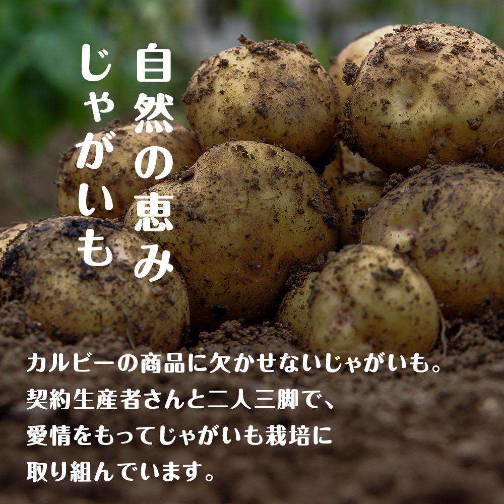 【定期便5カ月】カルビーポテトチップス<コンソメパンチ>16袋入×2箱《千歳工場製造》
