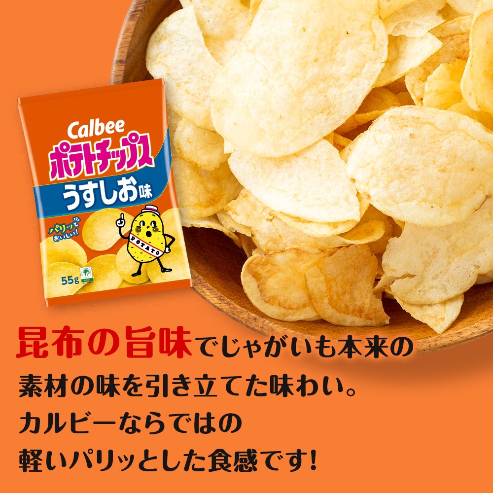【定期便2カ月】カルビーポテトチップス<うすしお>16袋入×1箱《千歳工場製造》