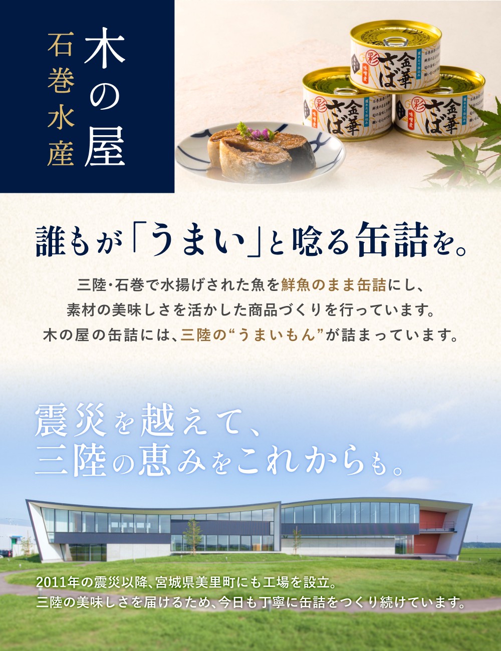 木の屋石巻水産 美里町直売所厳選美里町の逸品&缶詰セット / 缶詰 魚 煮物 くじら 焼肉 おつまみ 海鮮【kany005】