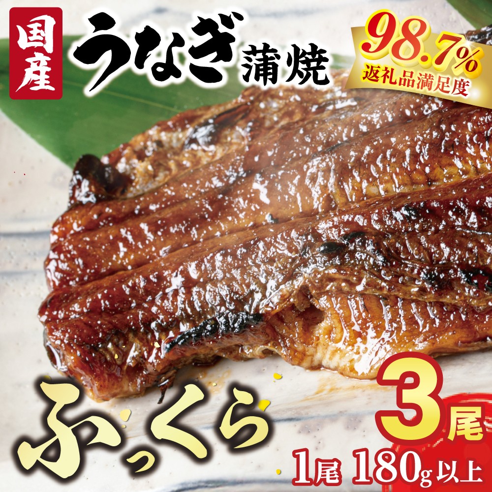 国産 うなぎ 備長炭 地焼き 蒲焼き 180g 以上 3尾 タレ付き×6 【FU03W】 うなぎ ウナギ 鰻 蒲焼き かば焼き たれ 人気 美味しい ふるさと 冷凍 うな重 ひつまぶし 国産うなぎ うざく うまき 国産 限定 大人気
