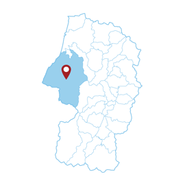 山形県　鶴岡市