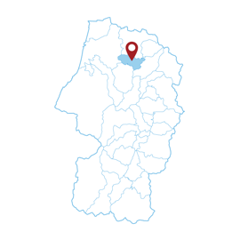 山形県 鮭川村