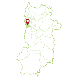 奈良県　葛城市