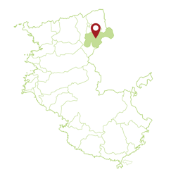 和歌山県 高野町