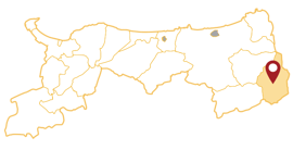 鳥取県　若桜町