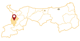 鳥取県 南部町