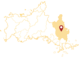 山口県　岩国市