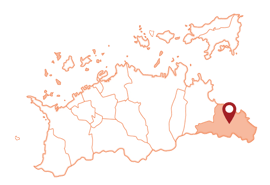 香川県 東かがわ市
