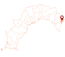高知県　東洋町