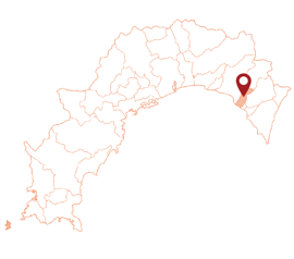 高知県　安田町