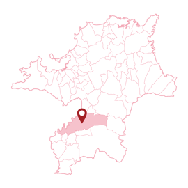 福岡県　久留米市