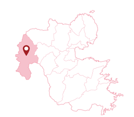大分県　日田市