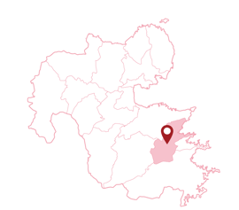 大分県　臼杵市