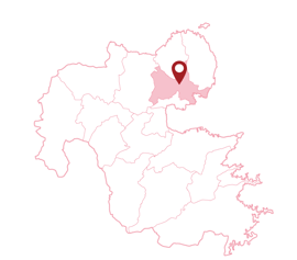 大分県　杵築市