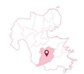 大分県　豊後大野市