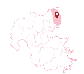 大分県　国東市