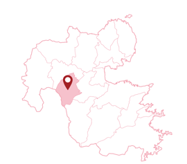 大分県　九重町