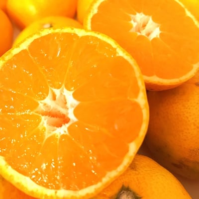 お礼の品の感想画像 2