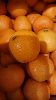 お礼の品の感想画像 2