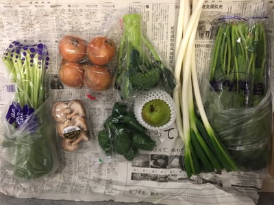 お礼の品の感想画像 1