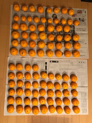 お礼の品の感想画像 1