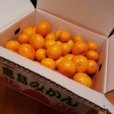 お礼の品の感想画像 2