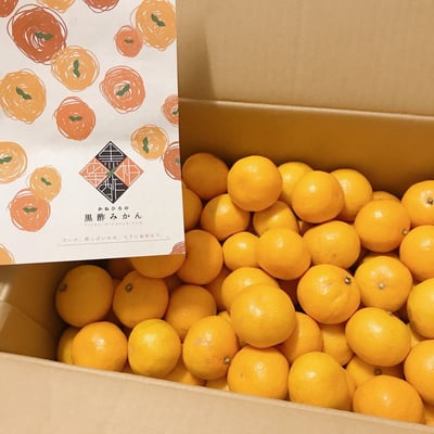 お礼の品の感想画像 1