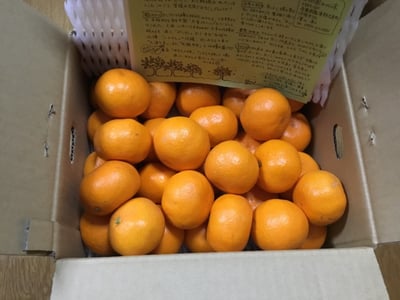 お礼の品の感想画像 1
