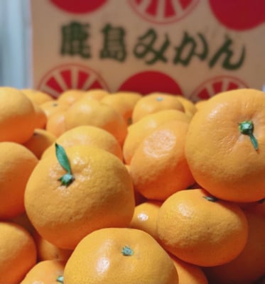 お礼の品の感想画像 1