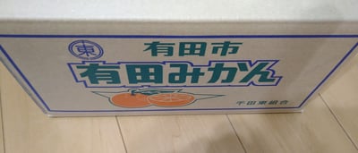 お礼の品の感想画像 1