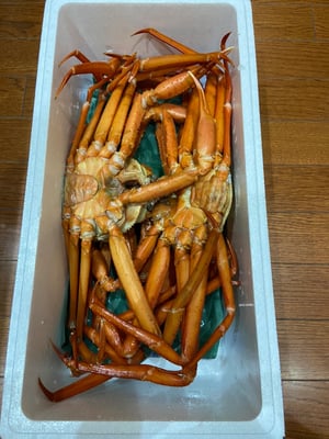 お礼の品の感想画像 1