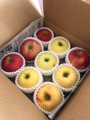 お礼の品の感想画像 1