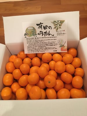 お礼の品の感想画像 1