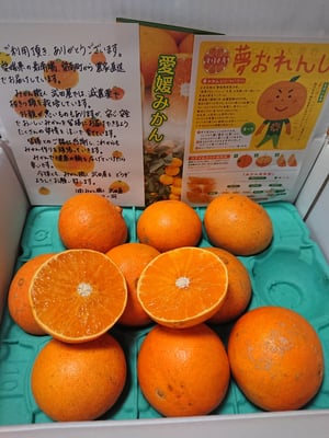 お礼の品の感想画像 1