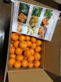 お礼の品の感想画像 1