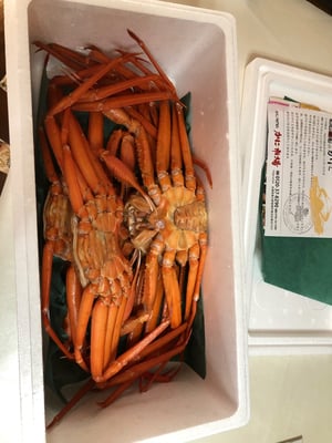 お礼の品の感想画像 1