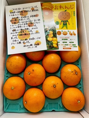 お礼の品の感想画像 1