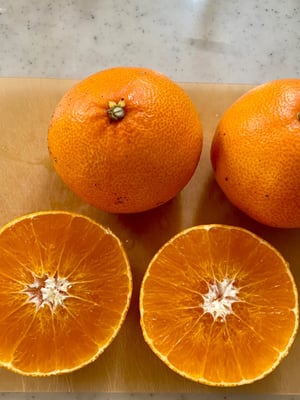 お礼の品の感想画像 2