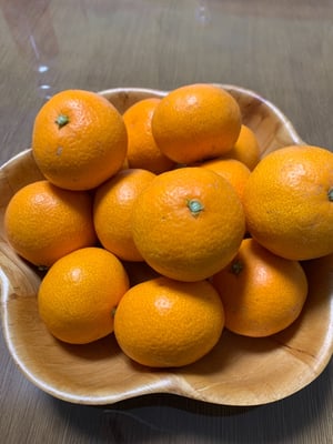 お礼の品の感想画像 1