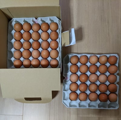 お礼の品の感想画像 1