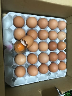 お礼の品の感想画像 1