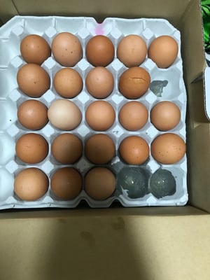 お礼の品の感想画像 2