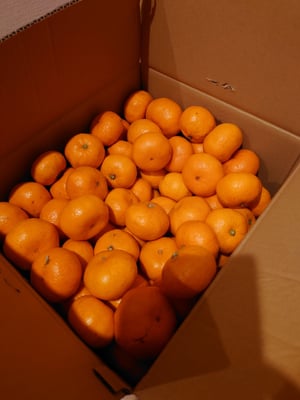 お礼の品の感想画像 1