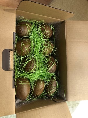 お礼の品の感想画像 1
