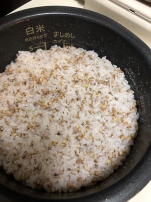 お礼の品の感想画像 1