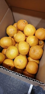 お礼の品の感想画像 2