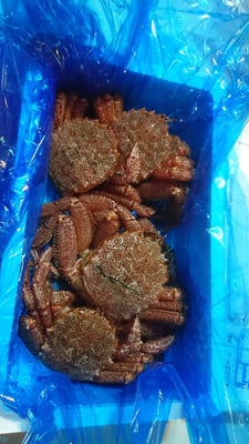 お礼の品の感想画像 1