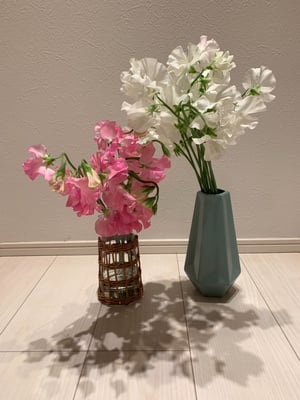 お礼の品の感想画像 1