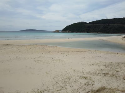 お礼の品の感想画像 1